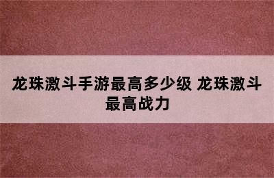 龙珠激斗手游最高多少级 龙珠激斗最高战力